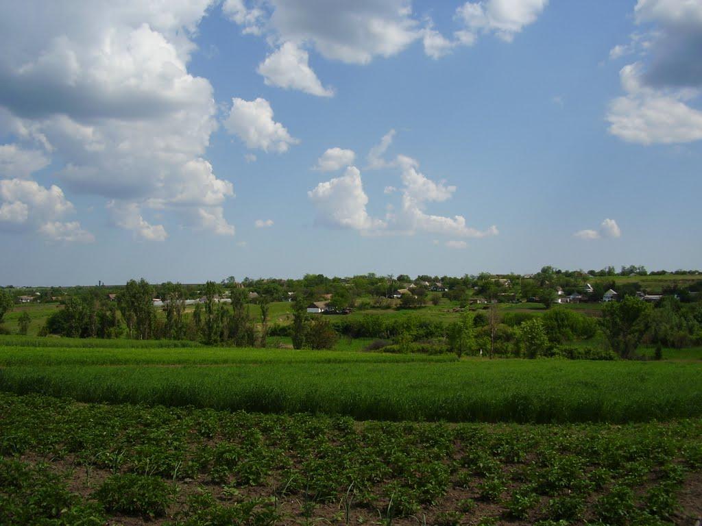 Вершина Друга з panoramio.com - Вершина Друга