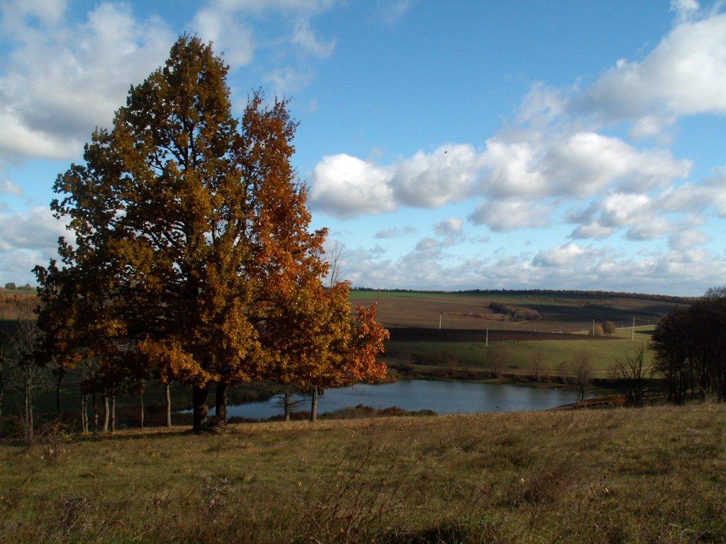 Крикливець з panoramio.com - Крикливець