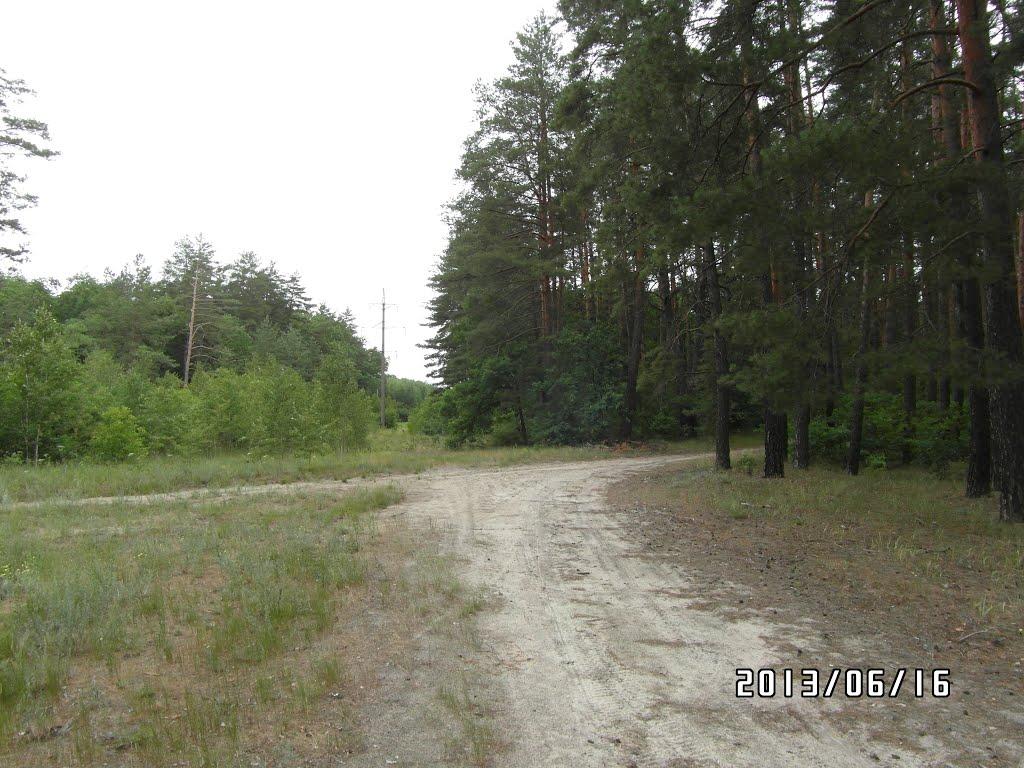 Скрипаї з panoramio.com - Скрипаи