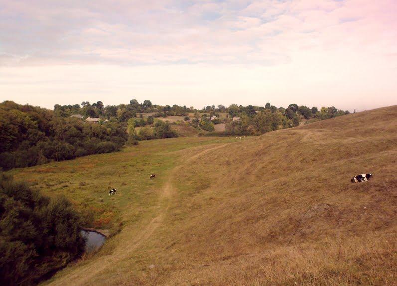 Куманівці з panoramio.com - Кумановцы