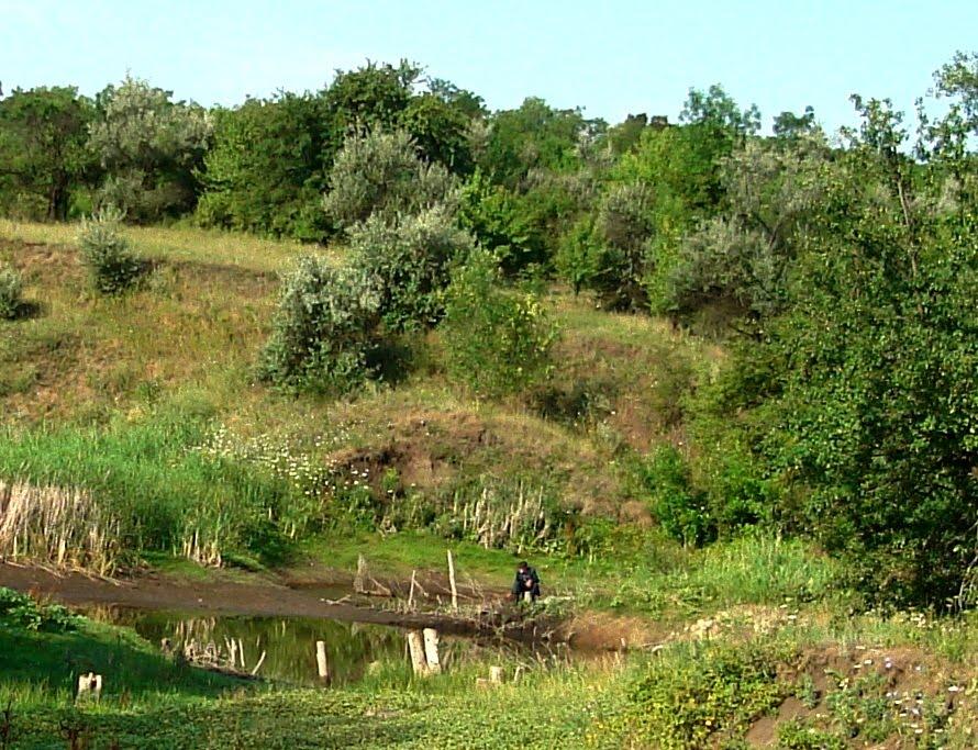 Зайцеве з panoramio.com - Зайцеве