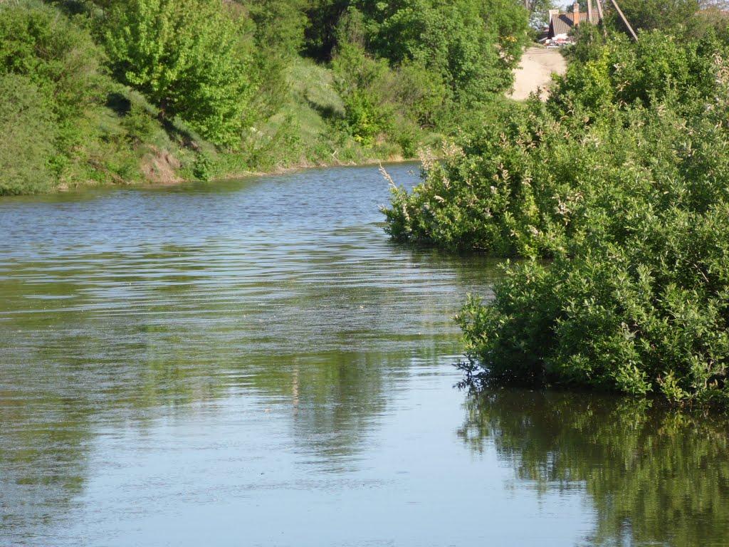 Товсте з panoramio.com - Толстое