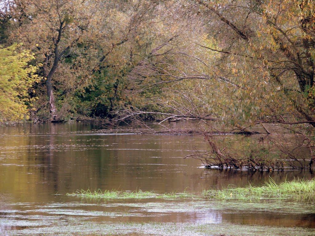 Коритниця з panoramio.com - Коритниця