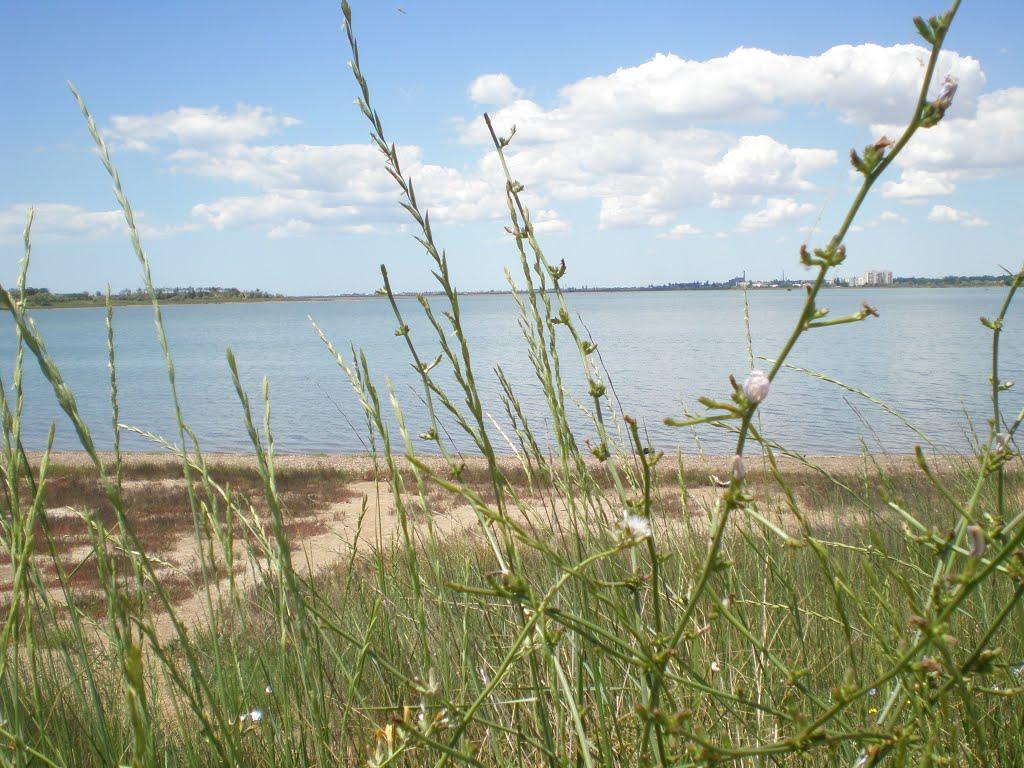 Саки з panoramio.com - Саки