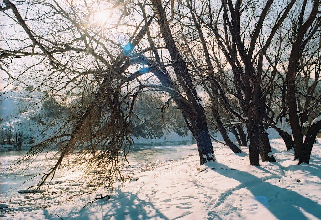 Ріп'яна з panoramio.com - Ріп'яна