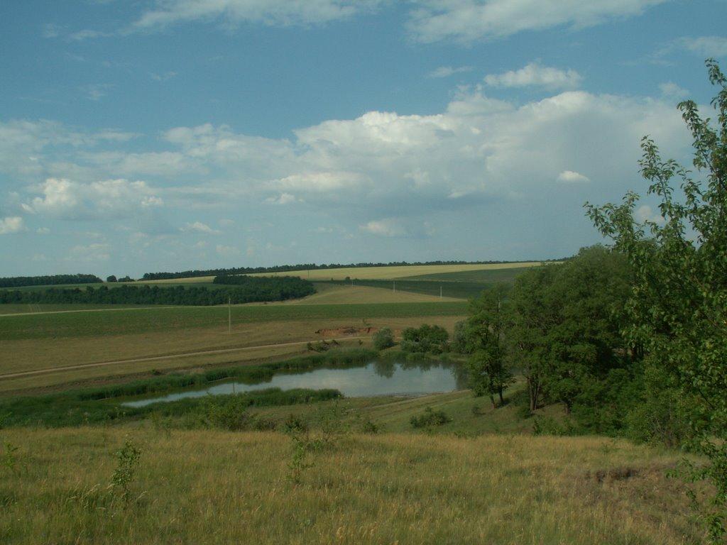 Крикливець з panoramio.com - Крикливець