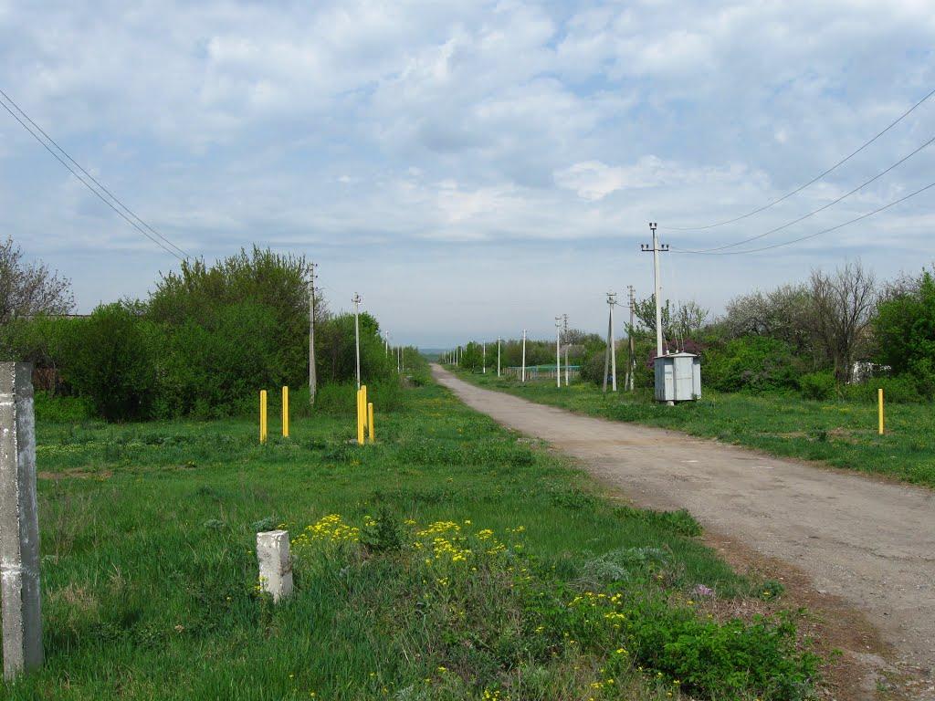 Андріївка з panoramio.com - Андріївка