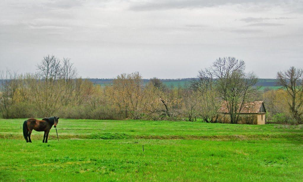 Світлопіль з panoramio.com - Світлопіль