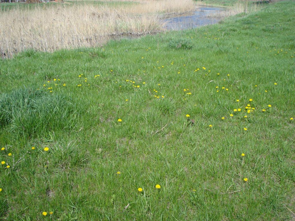 Спаське з panoramio.com - Спасское