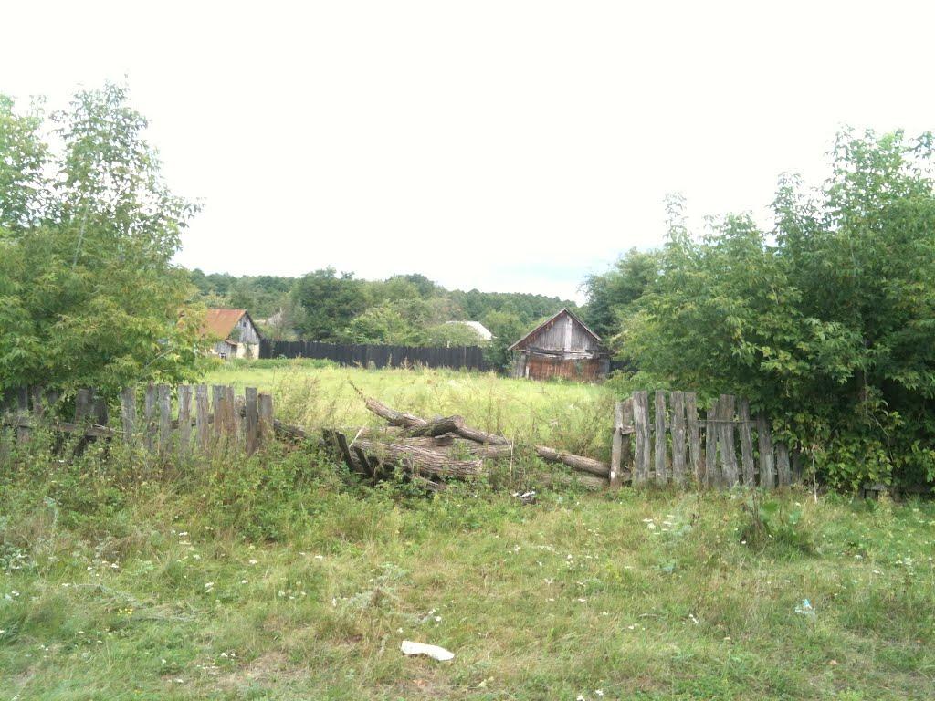 Любитове з panoramio.com - Любитово