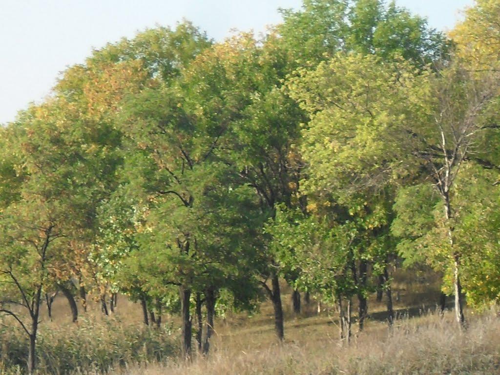 Костянтинівка з panoramio.com (ч.2) - Костянтиновка