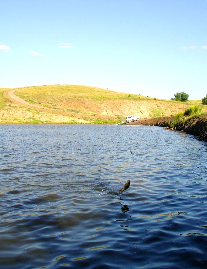 Вишневе з panoramio.com - Вишневе