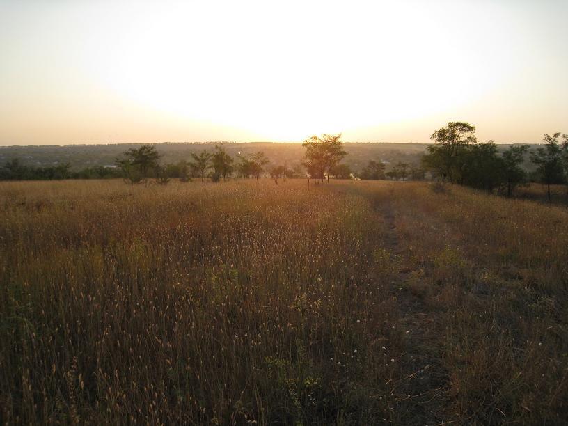Жовтневе з panoramio.com - Жовтневе
