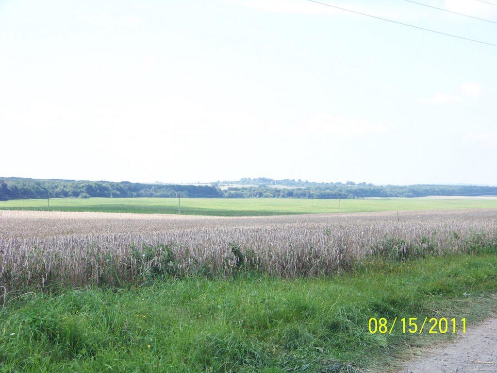 Ковбань з panoramio.com - Ковбань