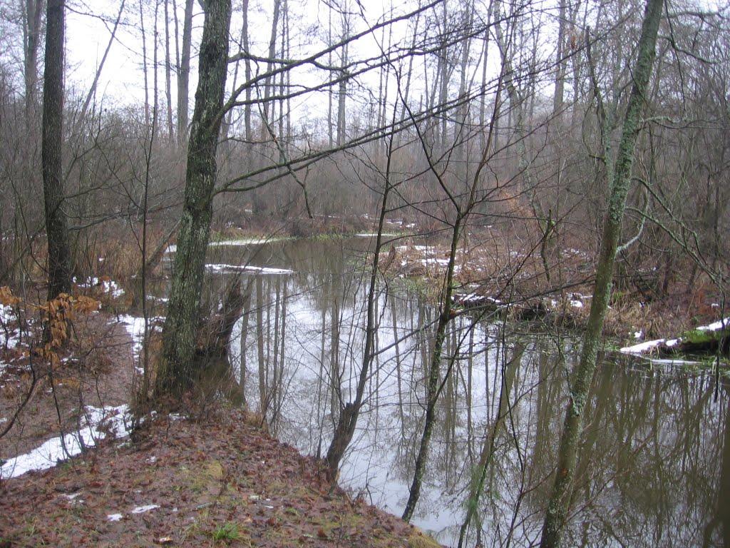 Мигалки з panoramio.com - Мигалки