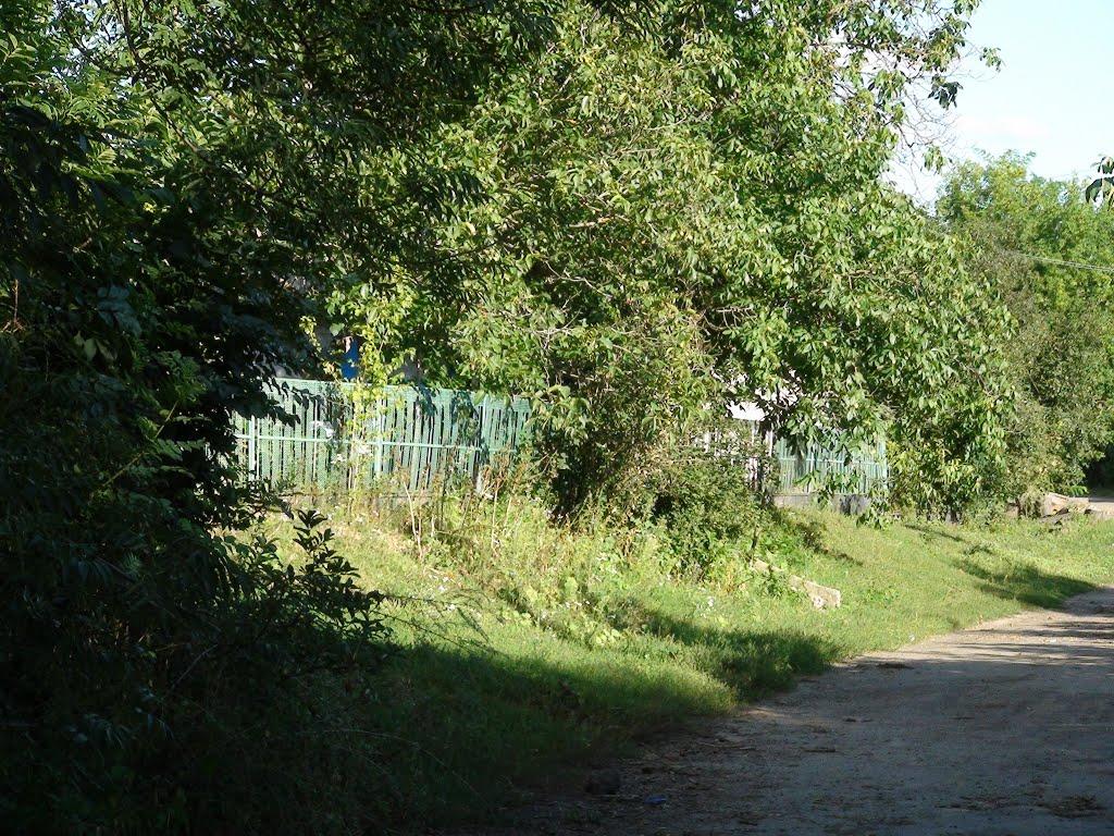 Люлинці з panoramio.com - Люлинцы