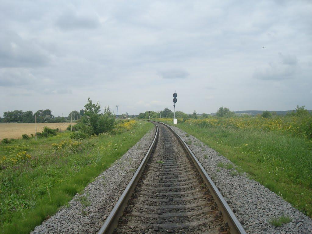 Гуменці з panoramio.com - Гуменці