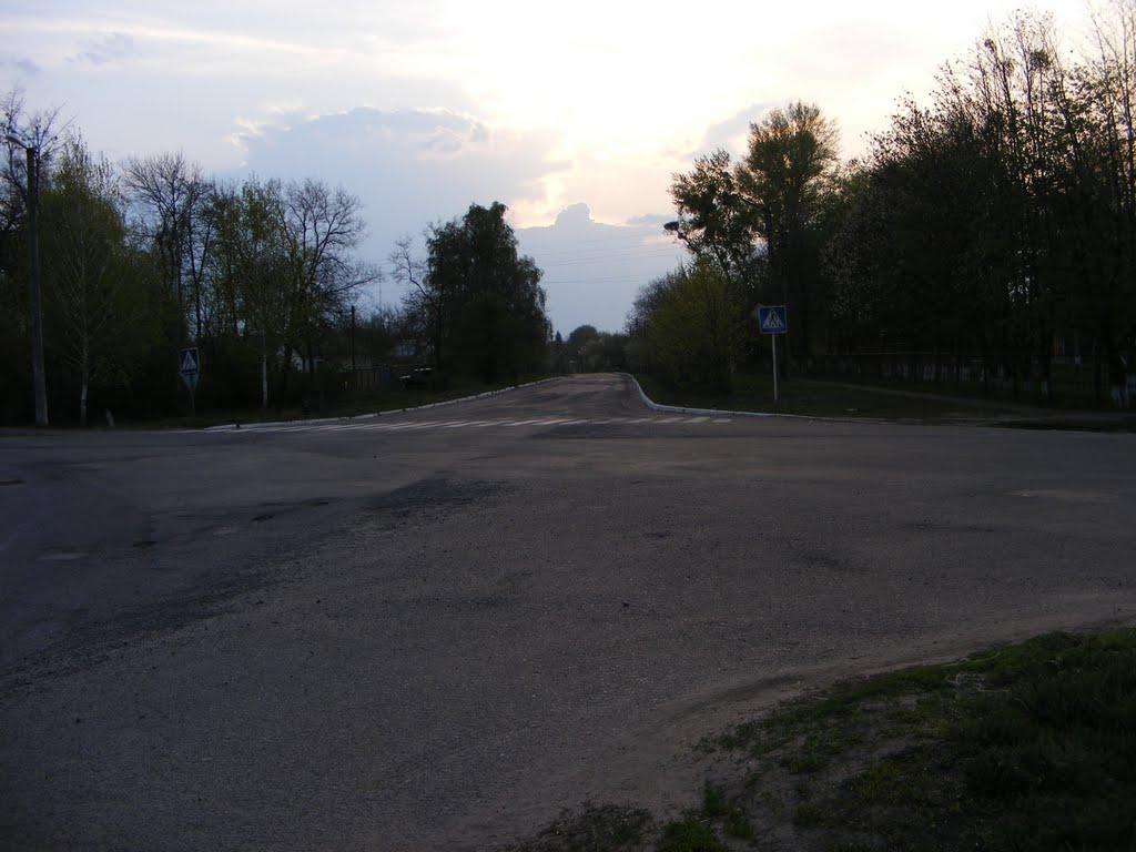 Шишаки з panoramio.com - Шишаки