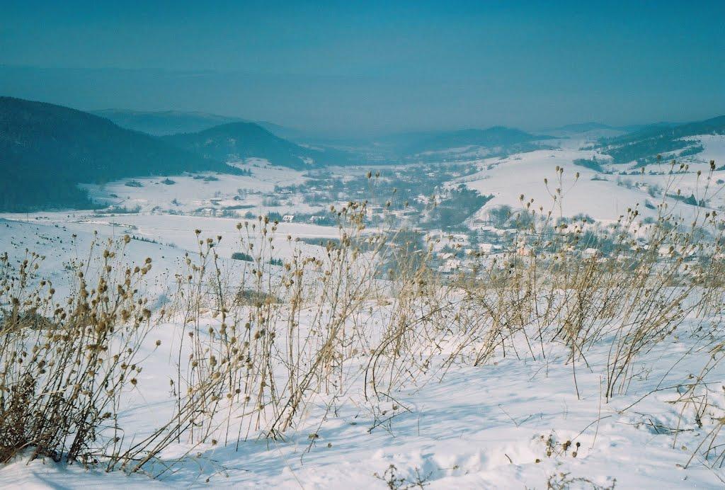 Ріп'яна з panoramio.com - Ріп'яна