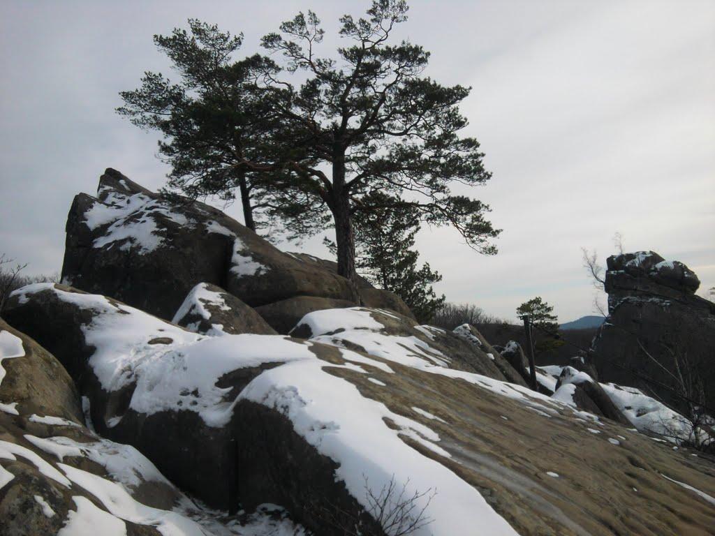 Поляниця з panoramio.com - Поляница