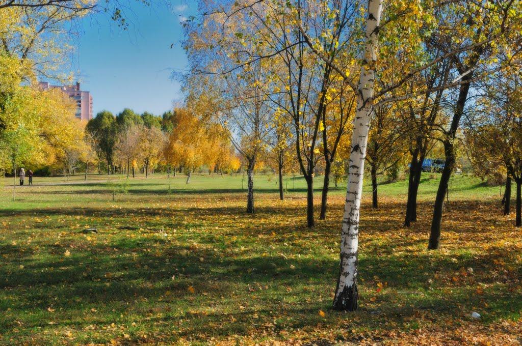 Заплавка з panoramio.com - Заплавка