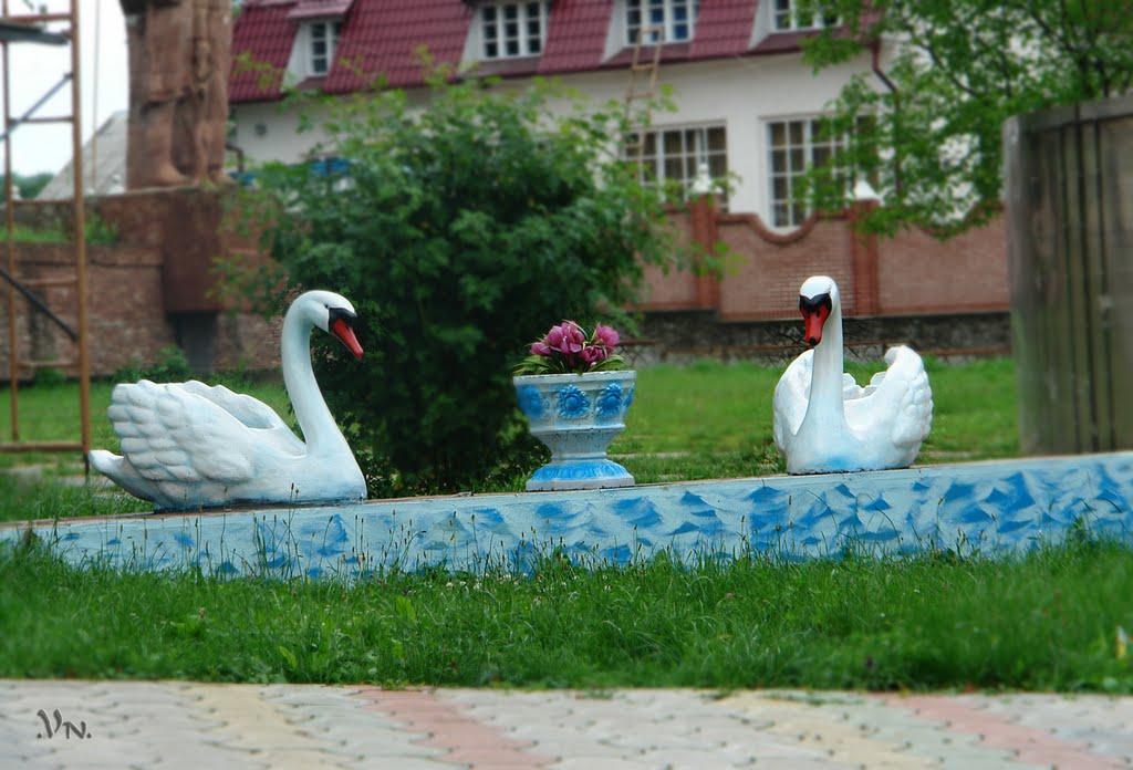 Рідківці з panoramio.com - Рідківці