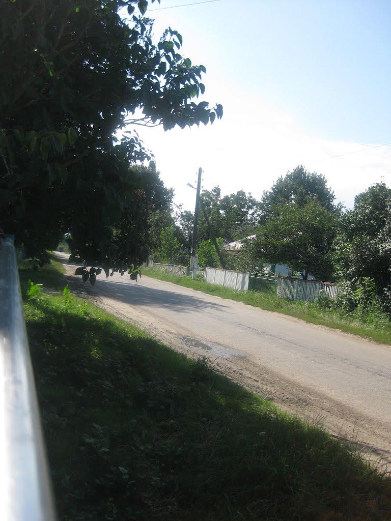 Уладівка з panoramio.com - Уладівка