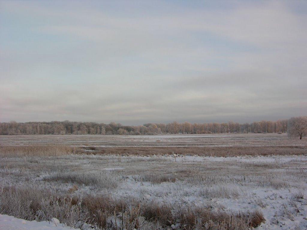 Балаклія з panoramio.com - Балаклея
