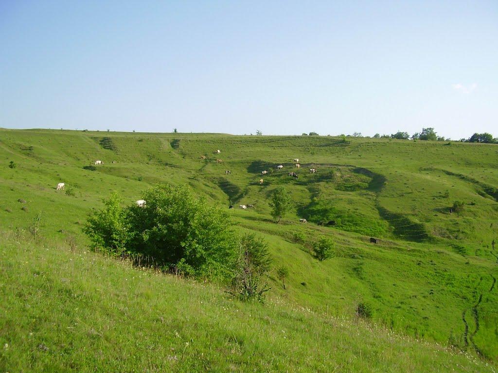 Жмеринка з panoramio.com - Zhmerynka
