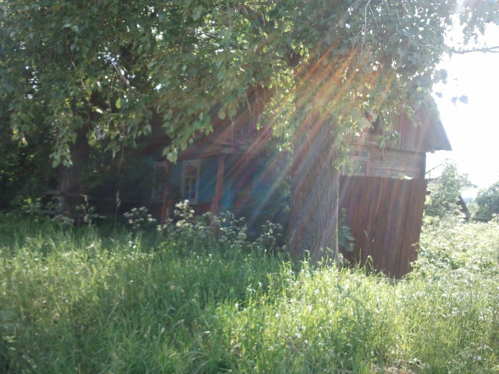 Феофілівка з panoramio.com - Феофілівка