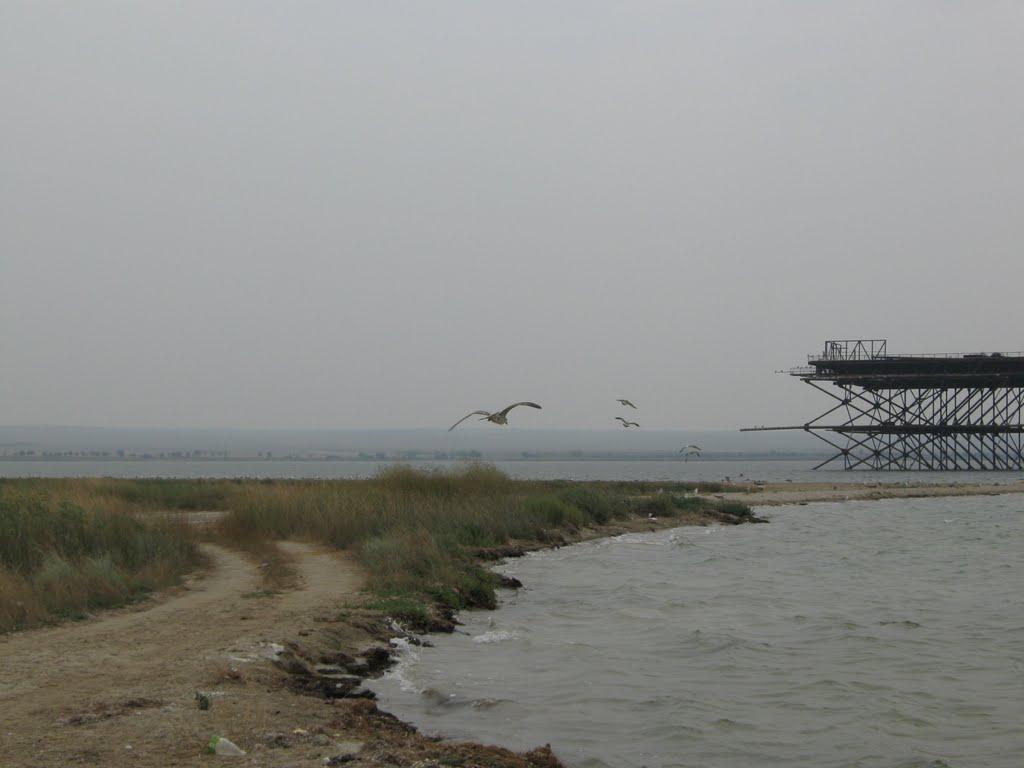 Сніжне з panoramio.com - Сніжне