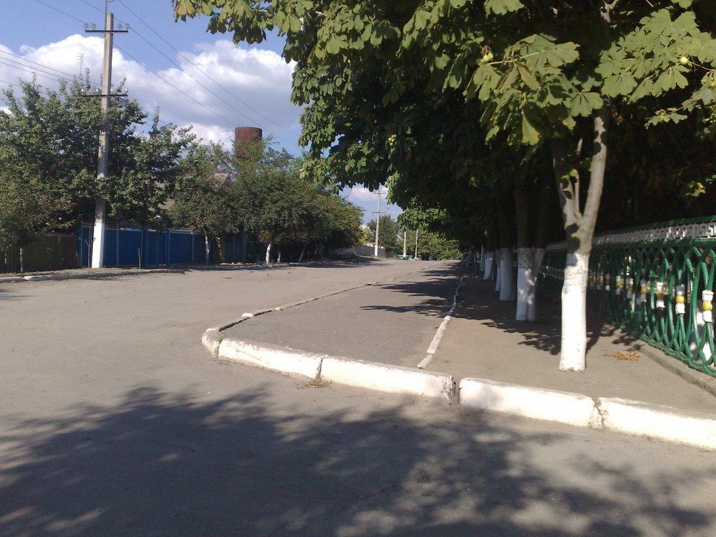 Орлівка з panoramio.com - Orlivka