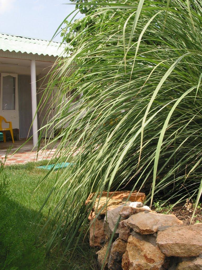 Молочне з panoramio.com - Молочное