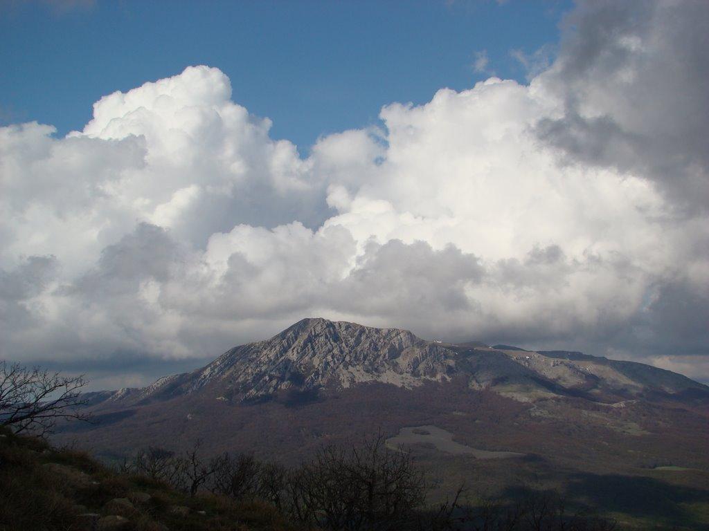 Розовий з panoramio.com (ч.2) - Розовий