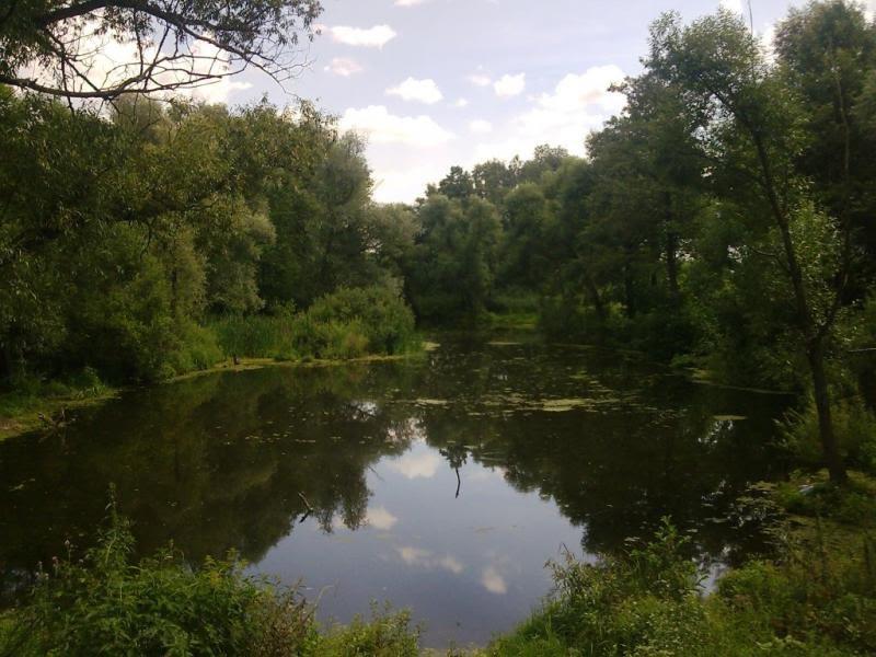 Сваркове з panoramio.com - Сваркове