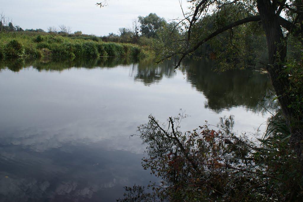 Бушеве з panoramio.com - Бушеве