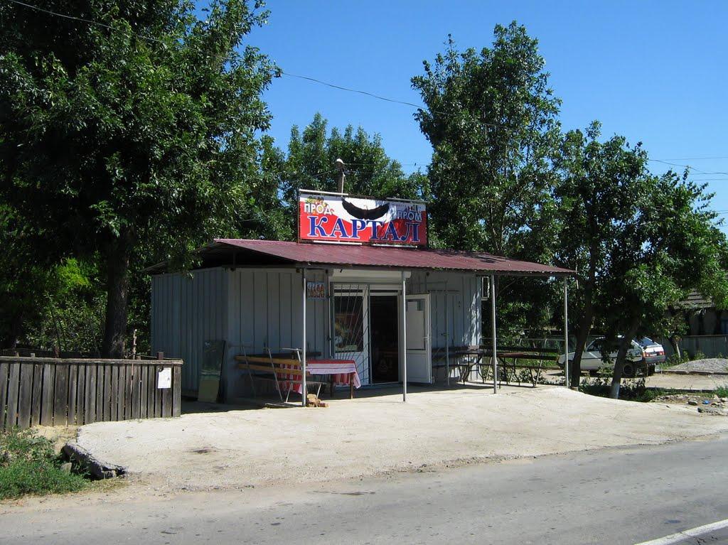Орлівка з panoramio.com - Orlivka