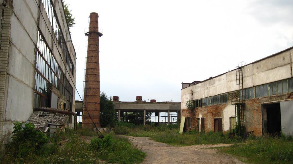 Горохів з panoramio.com - Горохов