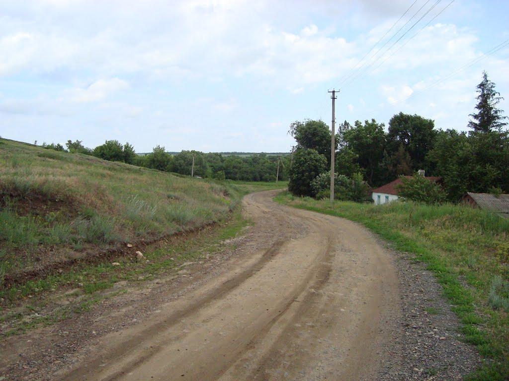 Білоцерківка з panoramio.com - Білоцерківка