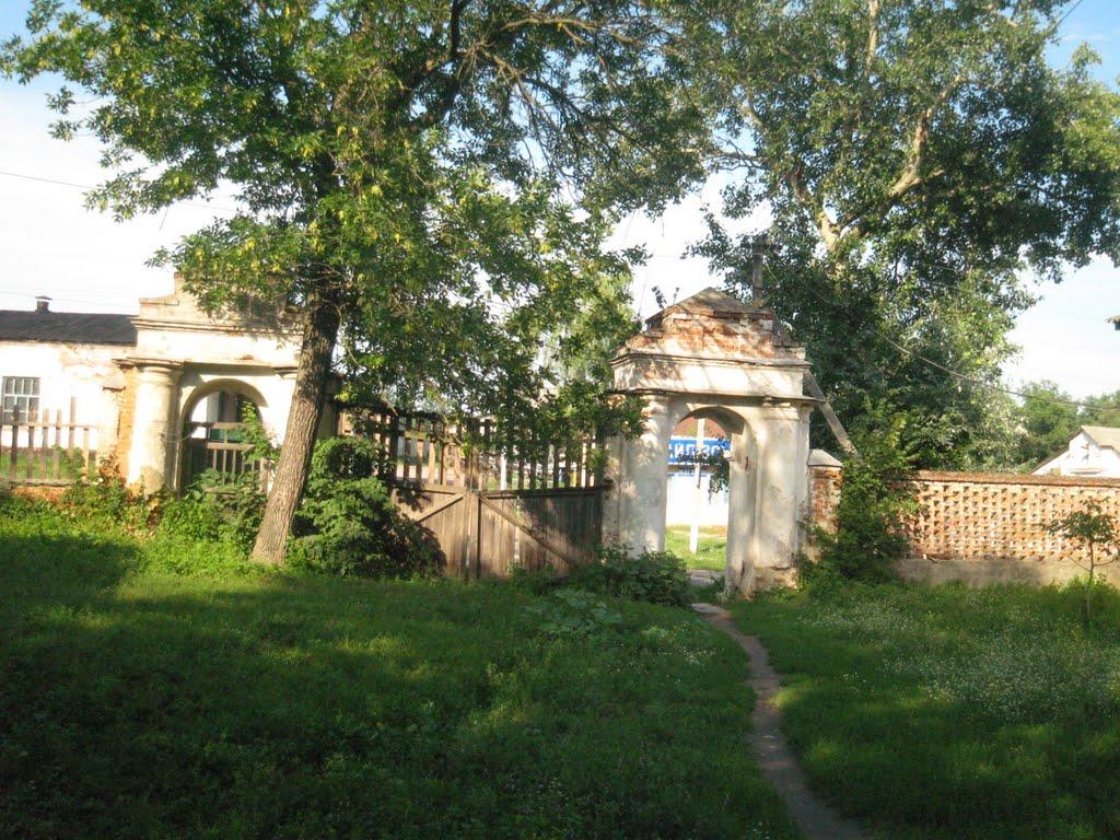 Михайлівка з panoramio.com - Михайлівка