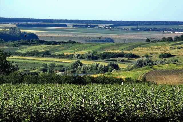 Садківці з panoramio.com - Садківці