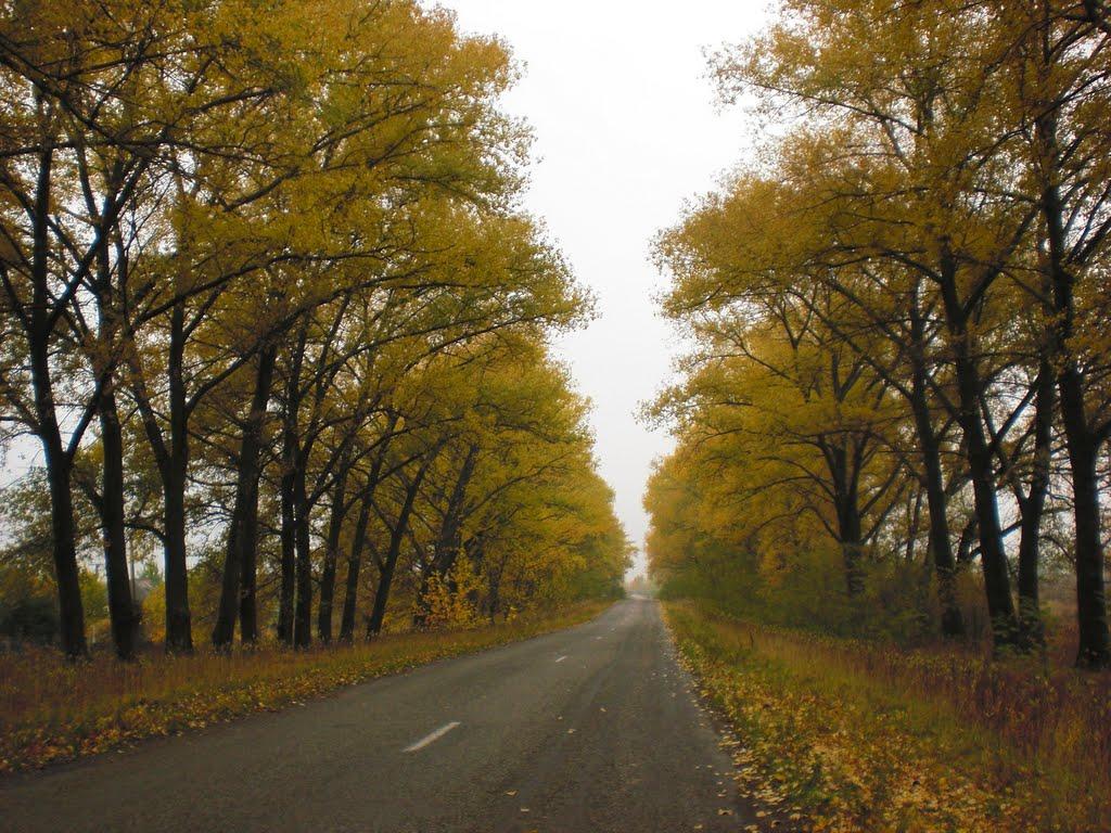 Селище з panoramio.com - Селище