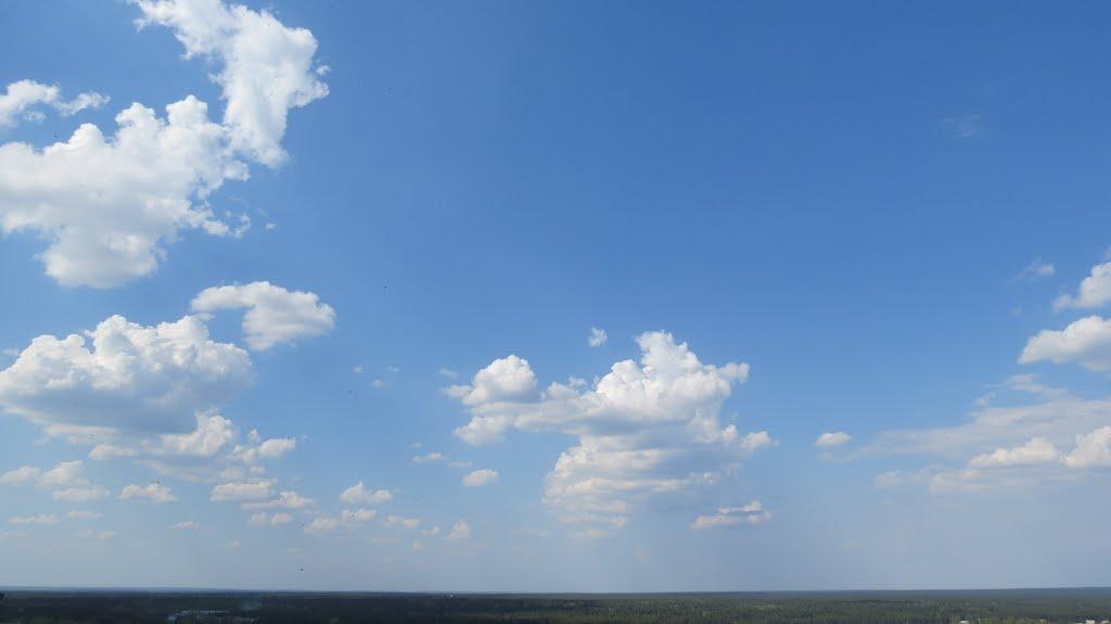 Святогірськ з panoramio.com - Святогірськ