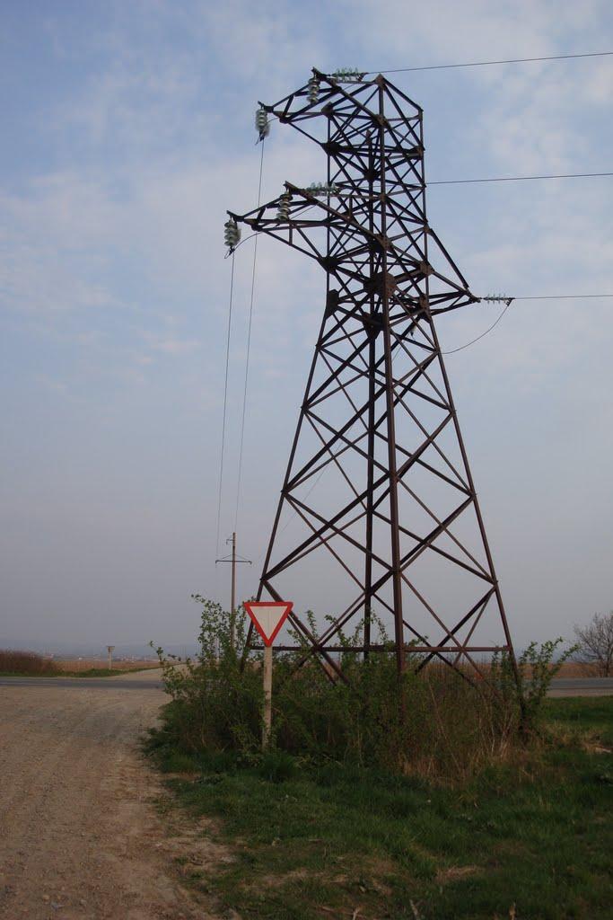 Зелений Гай з panoramio.com - Зелений Гай