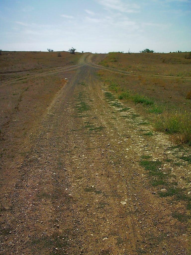 Кочергіне з panoramio.com - Кочергино