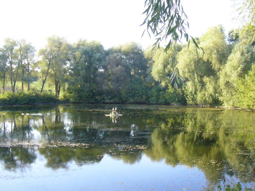 Немиринці з panoramio.com - Немиринці