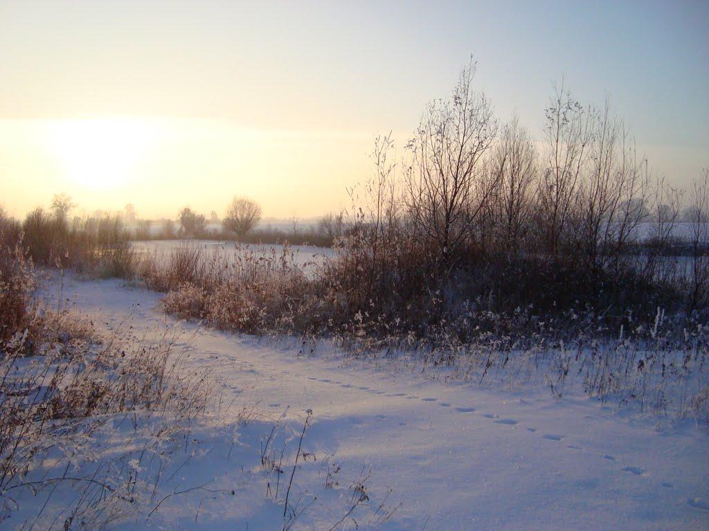 Буців з panoramio.com - Буцов