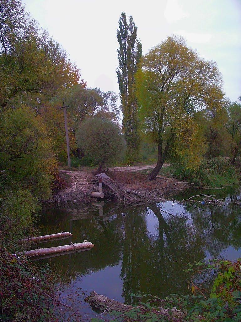 Красний Мак з panoramio.com - Красный Мак