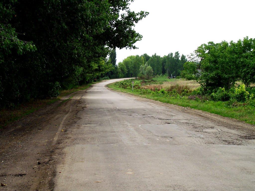 Садківці з panoramio.com - Садківці