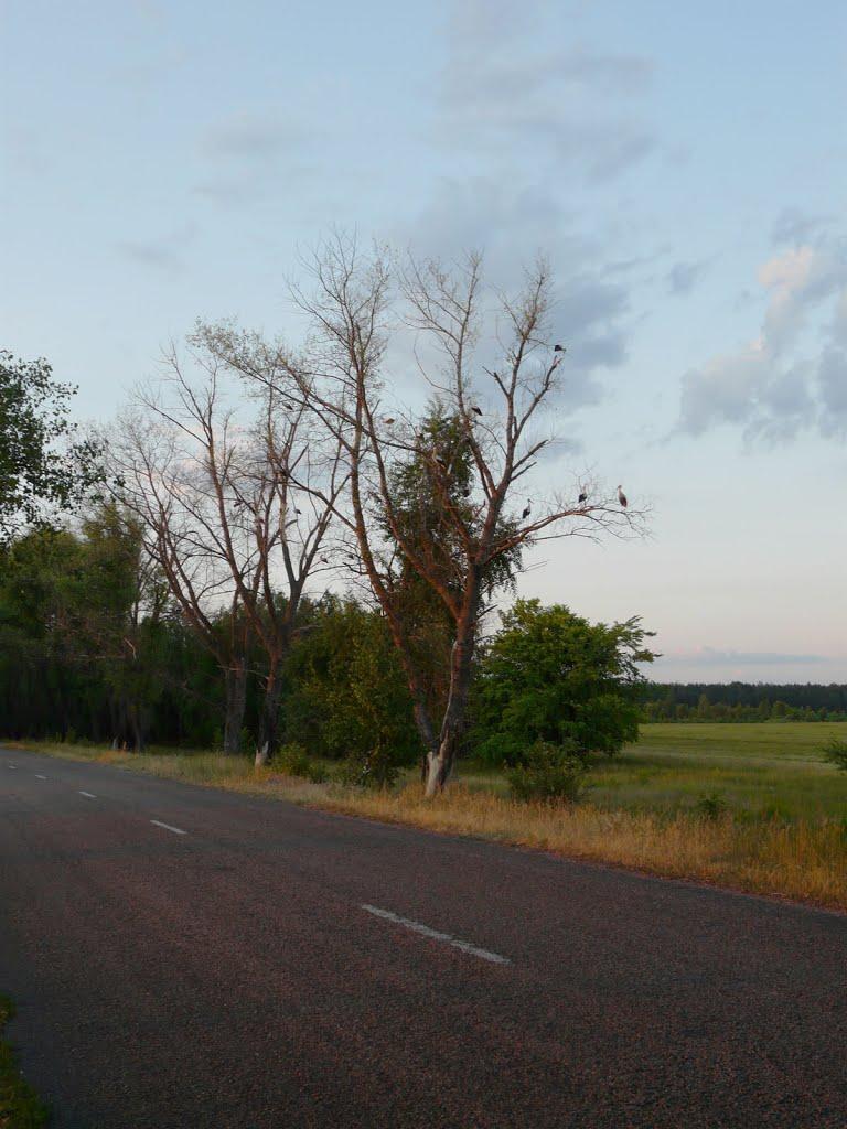 Славенщина з panoramio.com - Славенщина